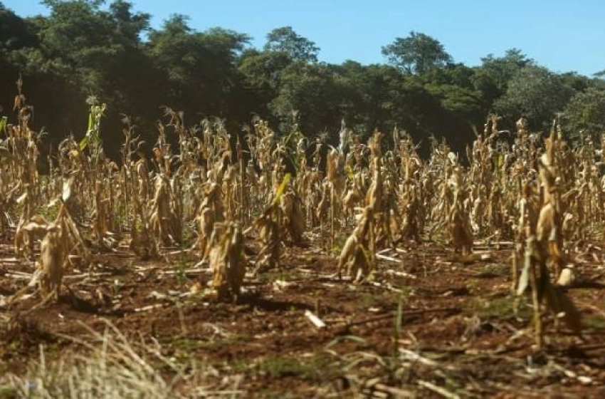 Imagem Situação de emergência por seca