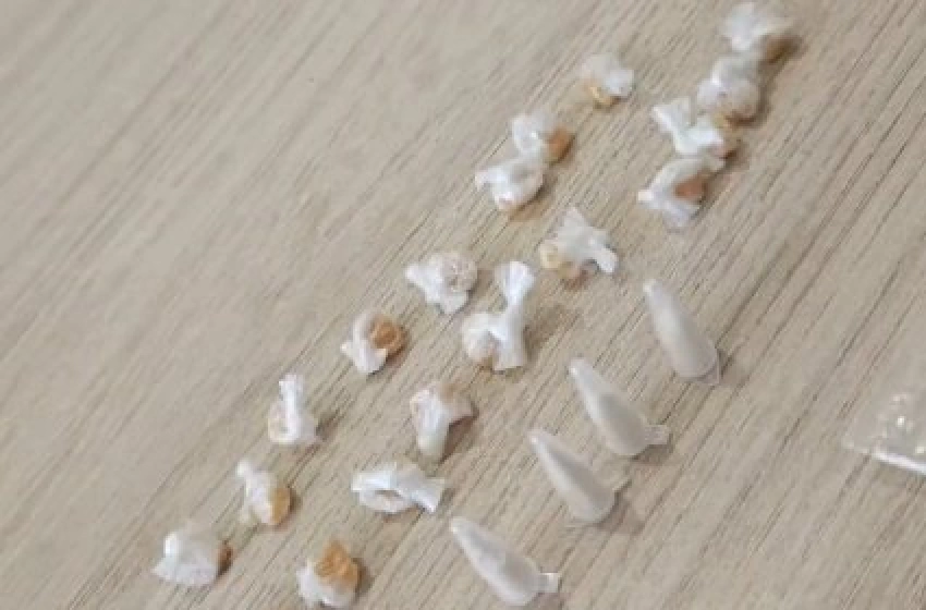 Imagem Crack e cocaína apreendidos em ação policial no município de Cajazeiras 