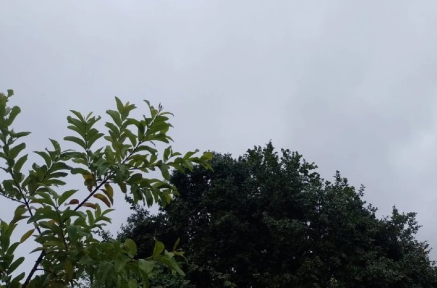 Imagem Alerta de vendaval para João Pessoa e mais 138 cidades