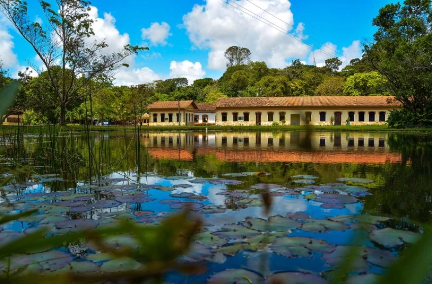 Imagem Jardim Botânico Benjamin Maranhão (JBBM), em João Pessoa