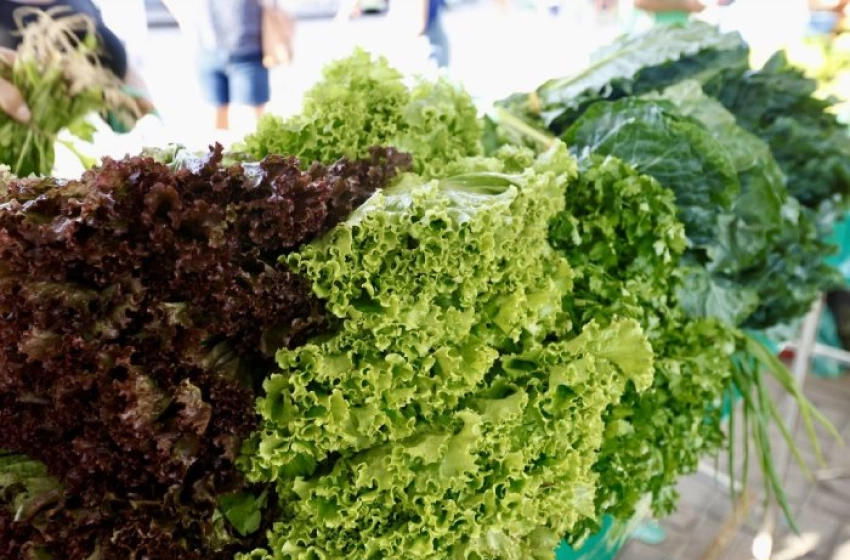 Imagem Programação da Feira da Agricultura Familiar 