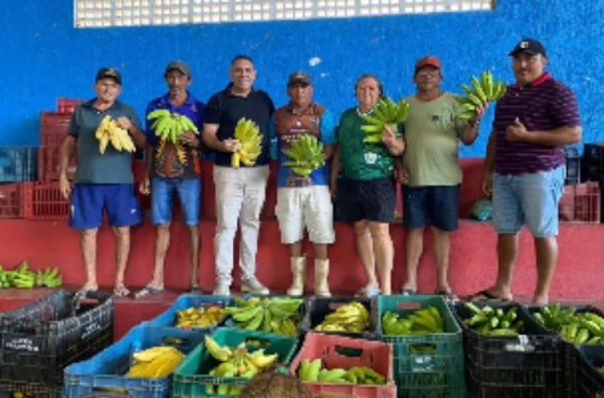 Imagem Distribuição de alimentos do PAA