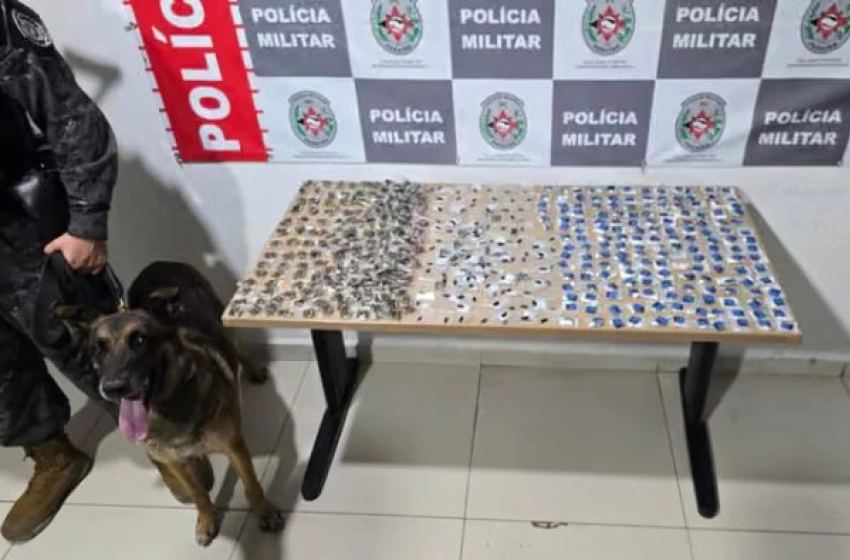 Imagem Drogas apreendidas em ação da PM