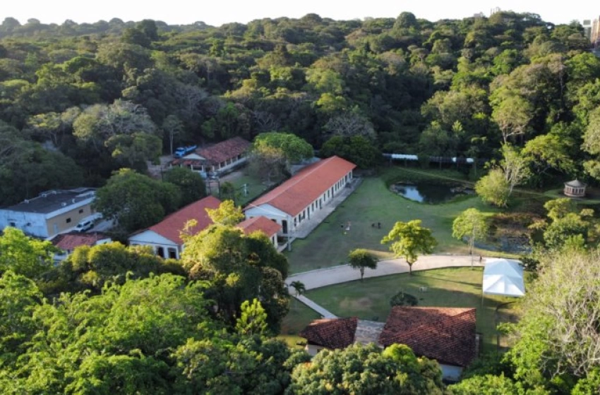 Imagem Jardim Botânico Benjamin Maranhão