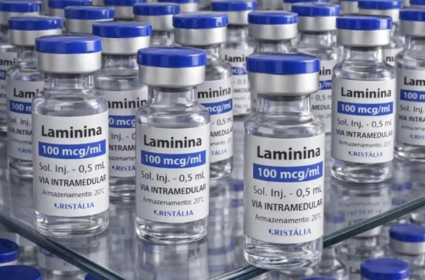 Imagem Primeira fase dos estudos clínicos com a polilaminina