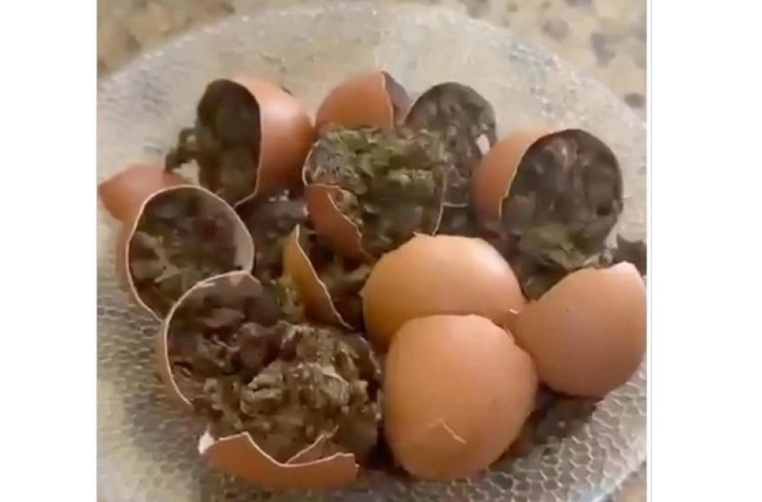Imagem Drogas escondidas em alimentos