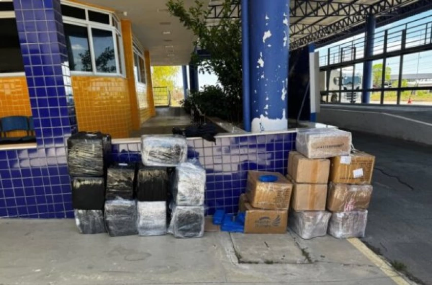 Imagem Apreensão de mais de meia tonelada de drogas