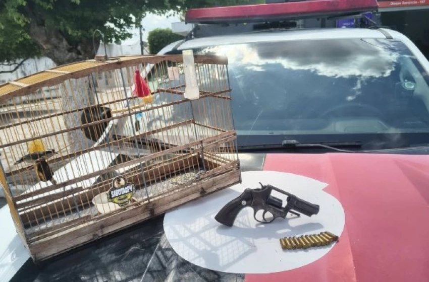 Imagem Ave silvestre e arma de fogo apreendidas pela Polícia Ambiental 