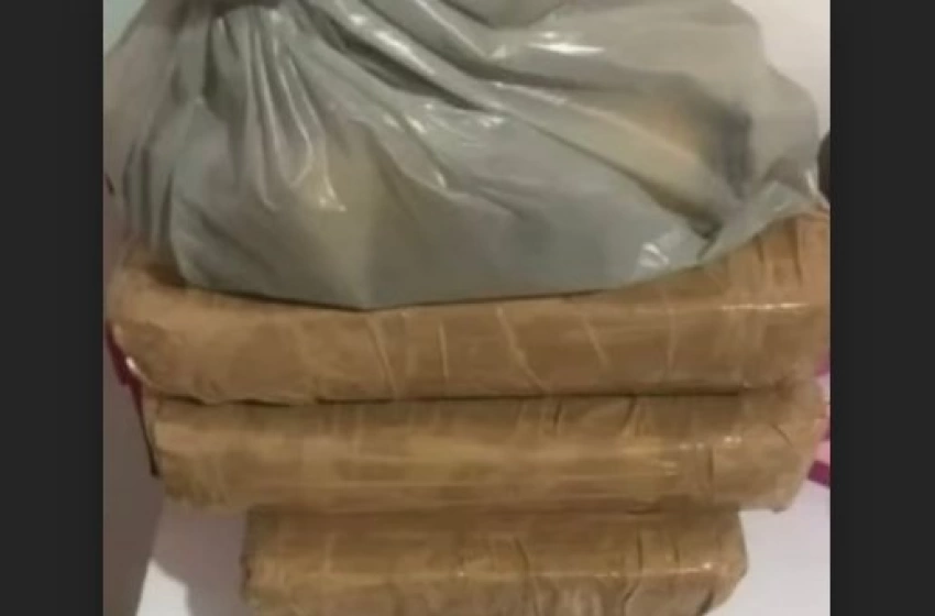 Imagem Drogas apreendidas em ação da PC