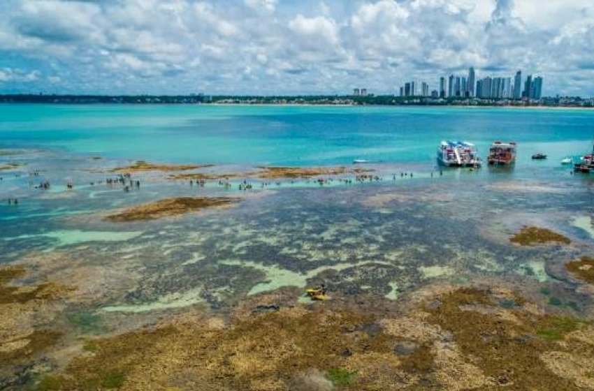 Imagem Promoção dos atrativos turísticos em Convenção Nacional da CVC