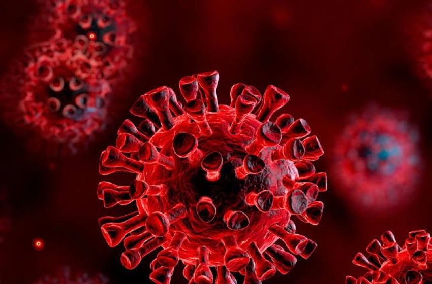 Imagem Coronavírus 