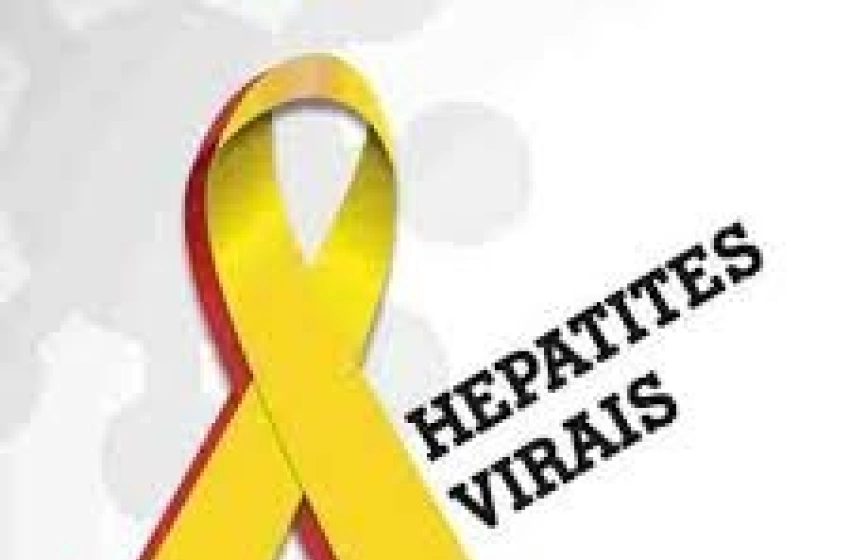 Imagem Hepatites B e C causaram 83 mil mortes em 2 décadas no País