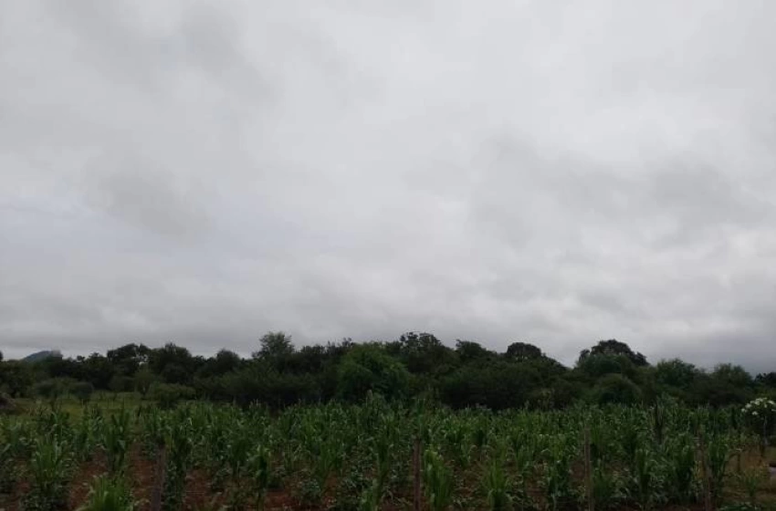 Imagem Chuvas na maioria do estado, com exceção do sertão paraibano