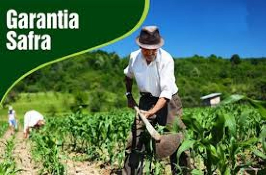 Imagem Garantia Safra