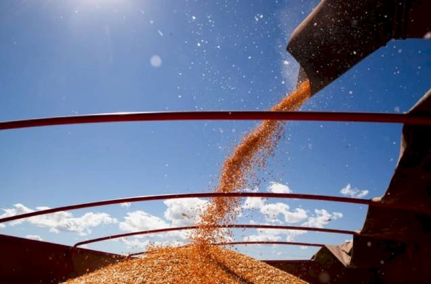 Imagem Grãos de milho