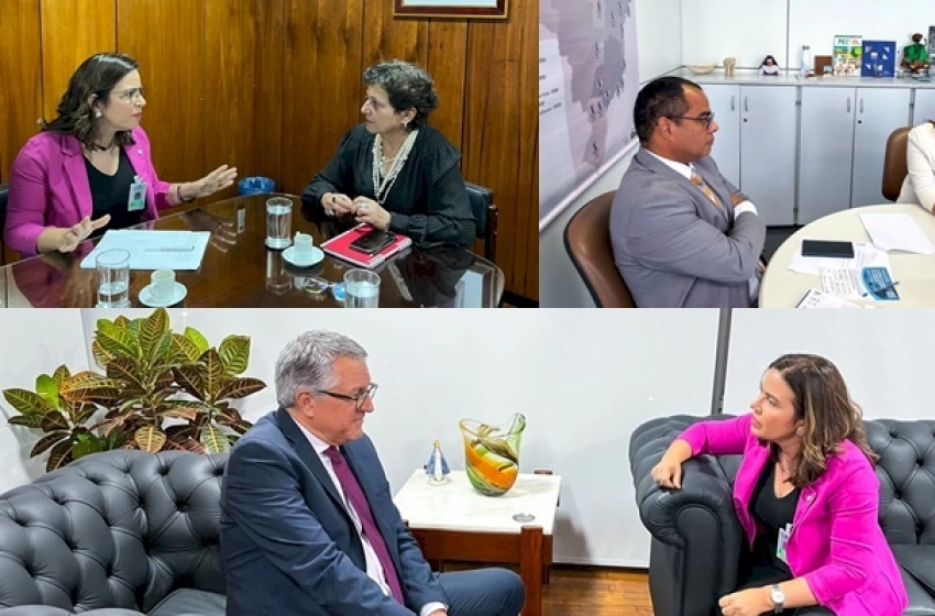 Imagem Em Brasília, Pollyanna Dutra cumpre agendas e dialoga com ministros e secretários nacionais