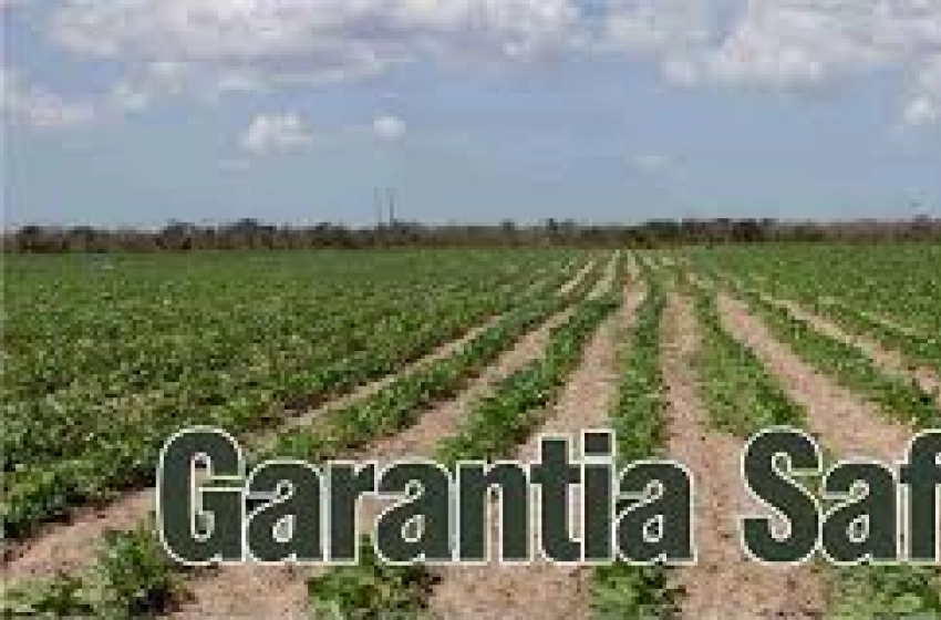 Imagem Garantia-Safra