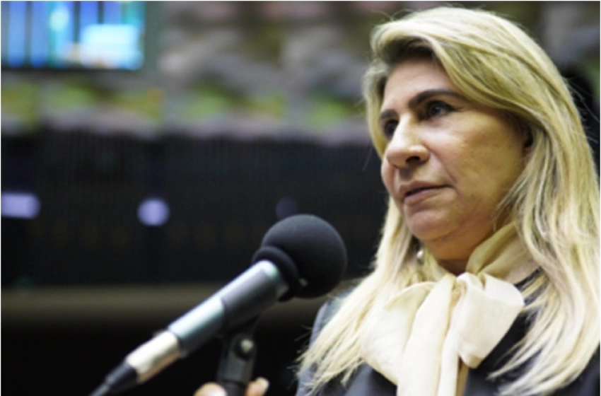 Imagem Edna Henrique