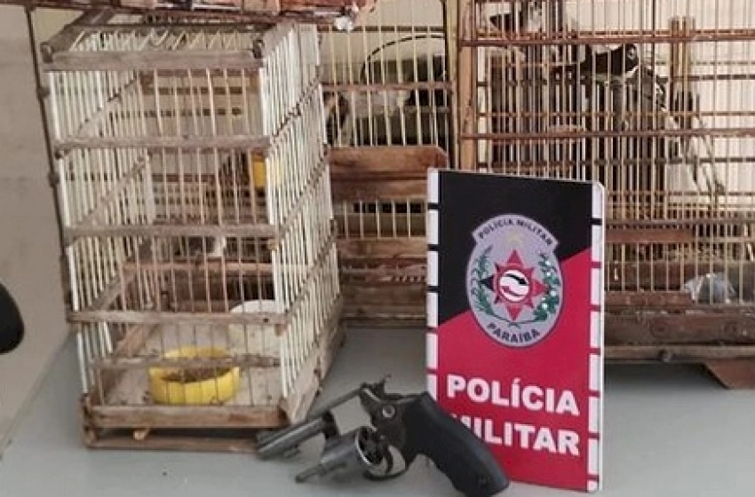 Imagem Prisão de homem por crime ambiental e por posse irregular de arma