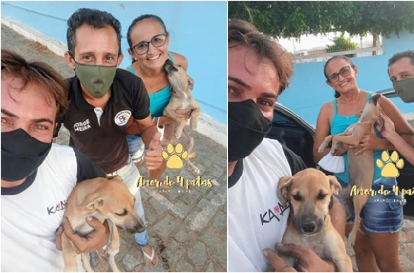 Imagem Projeto Aparecida 