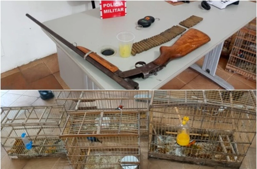 Imagem Aves Espingarda 