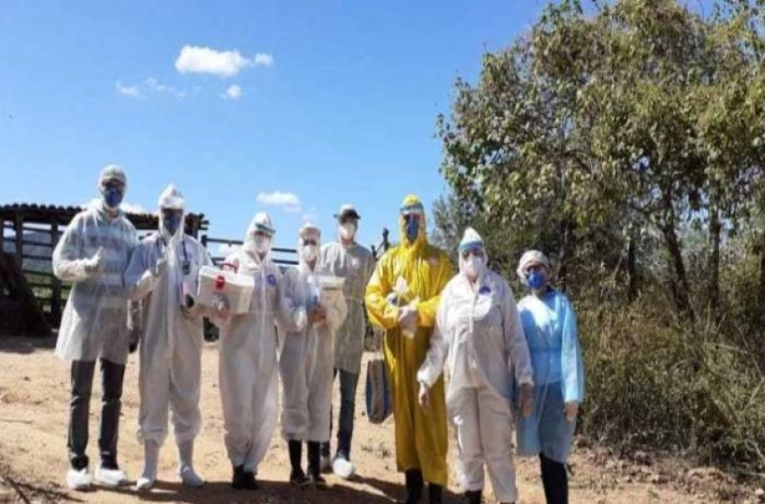 Imagem Testes Rápidos