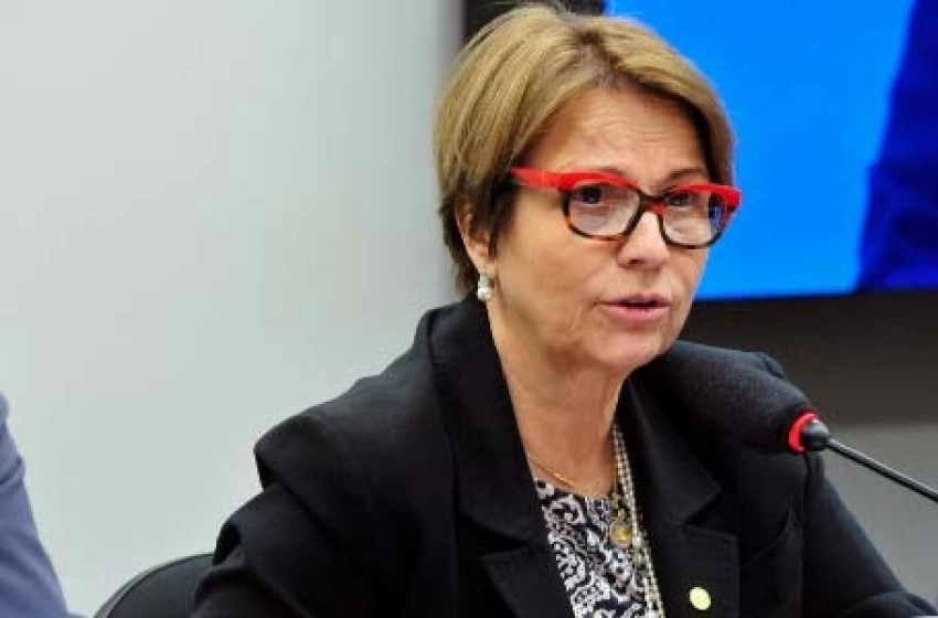 Imagem Tereza Cristina 