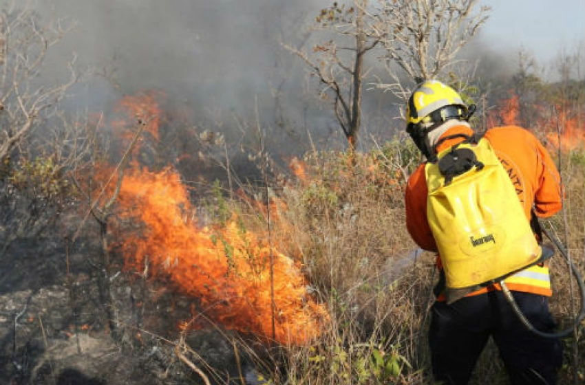 Imagem queimadas 