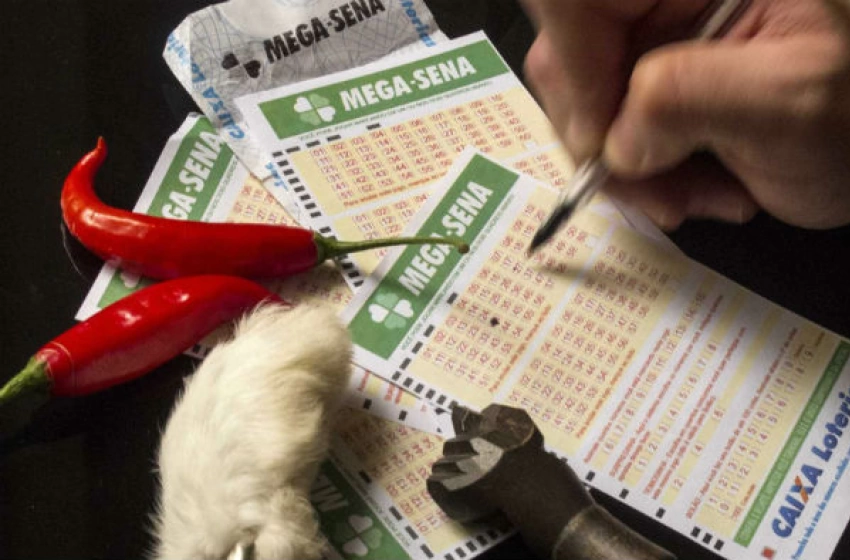 Imagem Mega-Sena