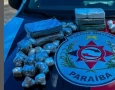 Drogas apreenidas pela Policia Militar