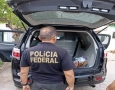 Operação Ruído Zero deflagrada pela Polícia Federal