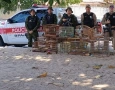 Aves silvestres apreendidas pela Polícia Militar na cidade de Desterro 