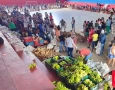 Entrega de cetas do PAA em Aparecida 