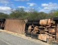 Tombamento de caminhão de bois