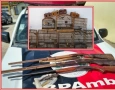 Aves e armas apreendidas em ação do Batalhão Ambiental em Itapororoca 
