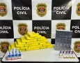 Material ilícito apreendido em ação da Polícia Civil
