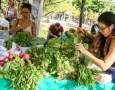 Feira da Agricultura Familiar