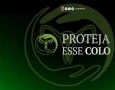 Projeto estratégico “Proteja esse Colo”