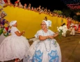 Desfiles de escolas de samba, tribos indígenas, clubes de frevo e maracatus