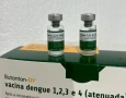 Vacinação contra a dengue