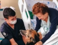 Hospital Metropolitano retoma projeto da Terapia Assistida por Animais para pacientes