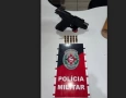 Arma e munições apreendidas em ação da PM