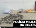 Apreensão de drogas na cidade de Cajazeiras