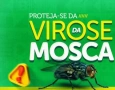 Alerta sobre os perigos das moscas na transmissão de doenças