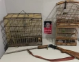 Aves Silvestres e arma de fogo apreendidas pela polícia militar em Santa Rita