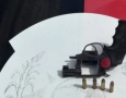 Arma e munições apreendidas em ação da PM