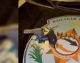 Arma de fogo apreendida em ação da PM