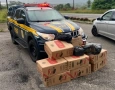 Apreensão de 5 mil maços de cigarros contrabandeados