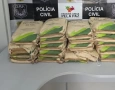 Drogas apreendidas pela Polícia Civil em Queimadas 