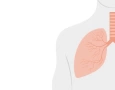 Doenças respiratórias 